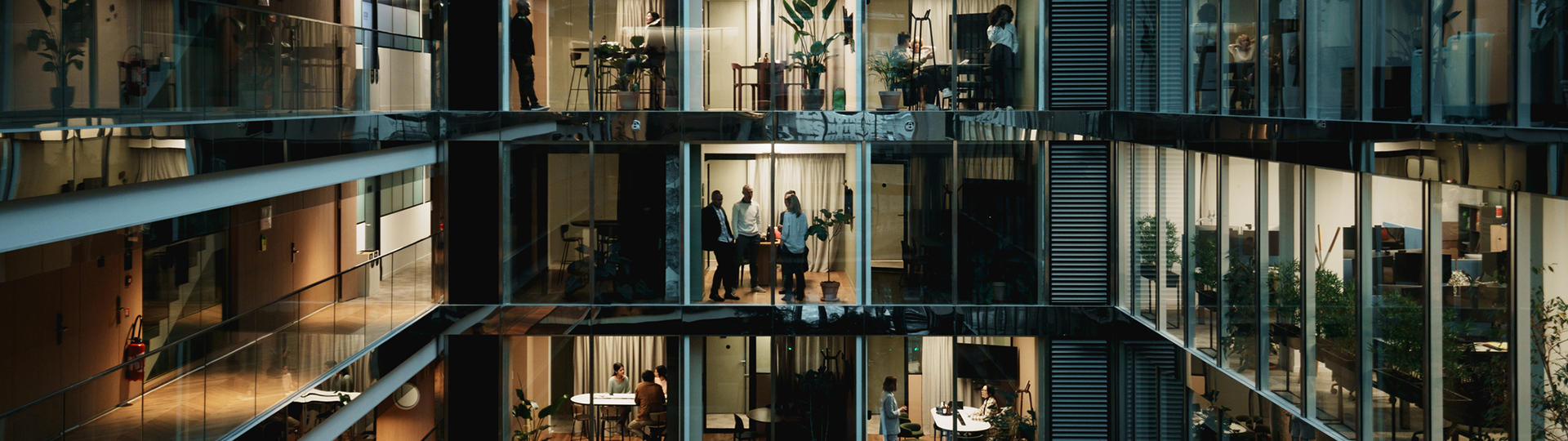 Contact Hamilton Mackenzie forensic accounting recruitment